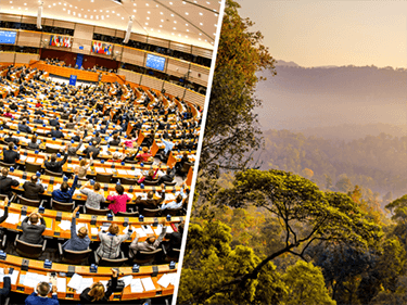EU Development Budget: will the Council build on Parliament’s bold stance?