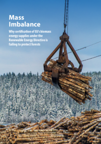 Mass Imbalance: Full report