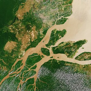 Amazon river aerial shot 