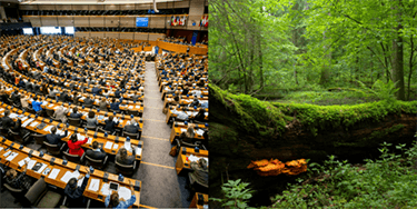 Parliament calls for ‘negative emissions’