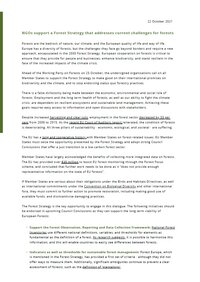 NGOs support a Forest Strategy that addresses current challenges for forests