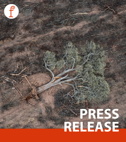 EU’s groundbreaking deforestation law sabotaged by the European Parliament