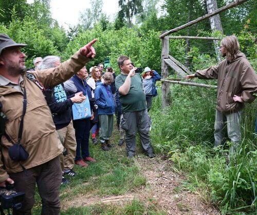The years-long fight to save Poland’s Białowieża forest: an activist offers insights