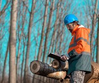 Biodiversity and climate change: The EU needs a better set of monitoring tools