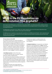 What_is_the_EU_Regulation_on_deforestation_free_products_and_why_should_you_care.pdf