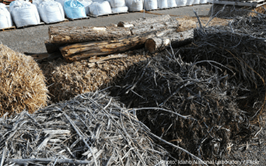 Environment Committee fails to act on biomass burning