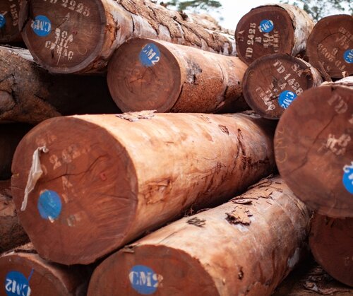 Cameroon’s VPA ends, but Parliament’s resolution reinforces EU accountability