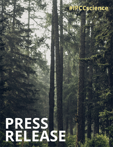 EU must heed the world’s most authoritative science panel and rethink its use of land and forests in climate emergency