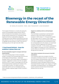 Bioenergy in the recast of the Renewable Energy Directive