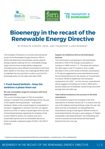 Bioenergy in the recast of the Renewable Energy Directive
