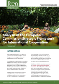Analysis of the European Commission's Strategic Framework for International Cooperation