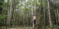 Forest Watch 285 - May 2023