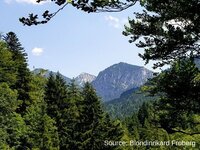 German forests: Climate change is not the only problem