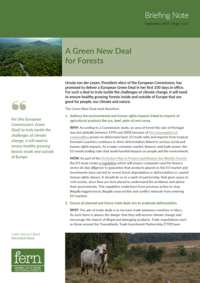 A Green New Deal for Forests