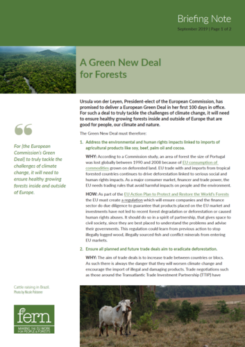 A Green New Deal for Forests