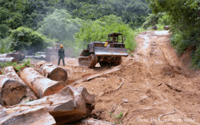 Vietnam VPA provides framework to improve forest governance