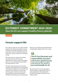 EU Forest Commitment 2024-2029: How the EU can support healthy forests globally