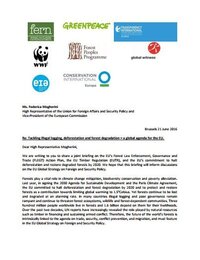 Tackling illegal logging, deforestation and forest degradation – a global agenda for the EU