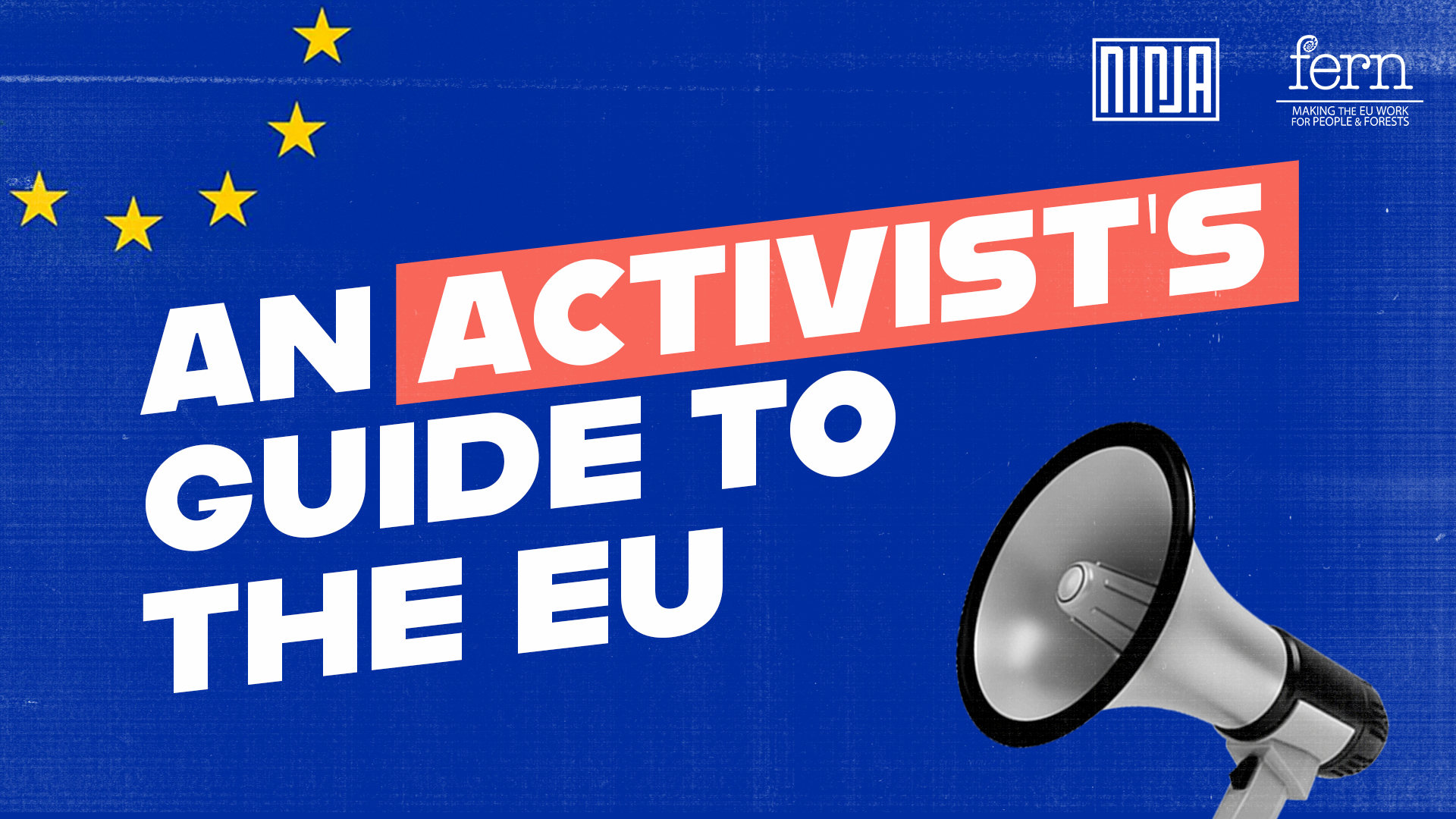An activist’s guide to the EU