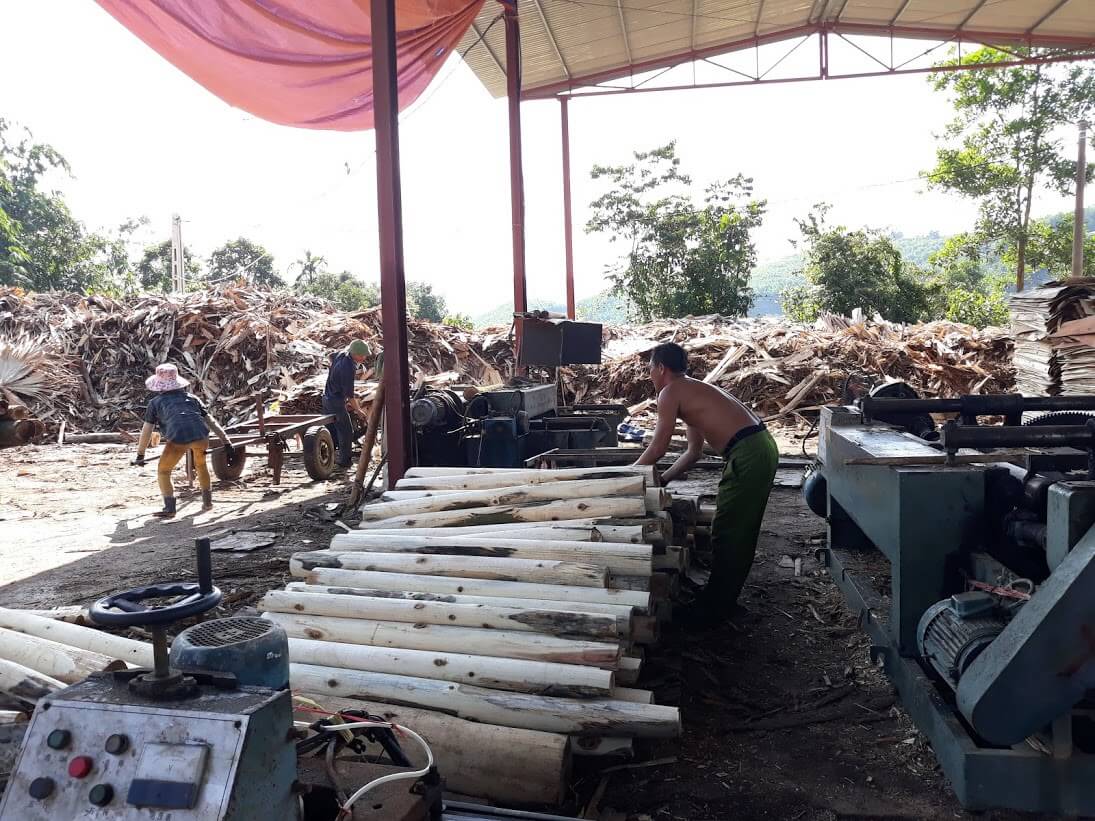 Vietnam logging