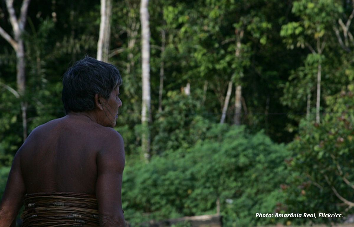 Alors que la dÉforestation ronge l’amazonie, l’europe se dÉcide À agir