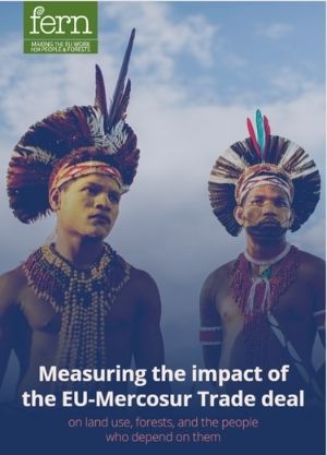Measuring the impact of the EU-Mercosur Trade deal on land use, forests, and the people who depend on them.