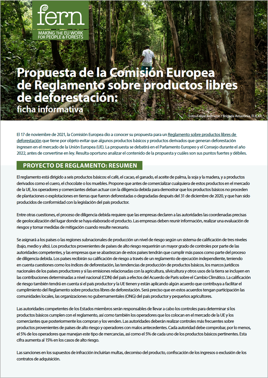 Propuesta de la Comisión Europea  de Reglamento sobre productos libres de deforestación