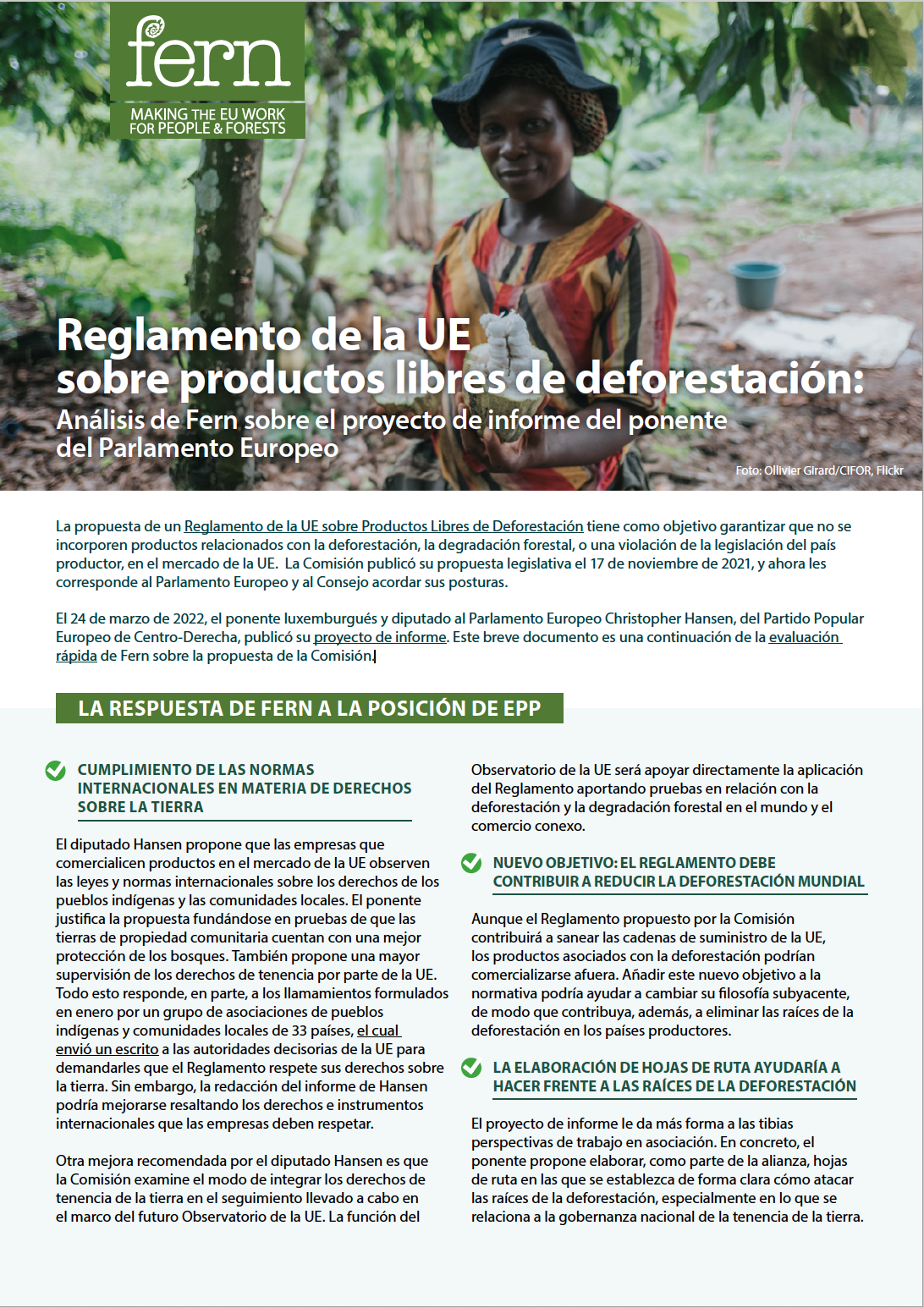 Reglamento de la UE sobre productos libres de deforestación
