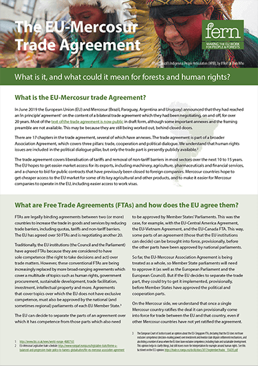 The EU-Mercosur trade agreement: What is it, and what could it mean for forests and human rights?