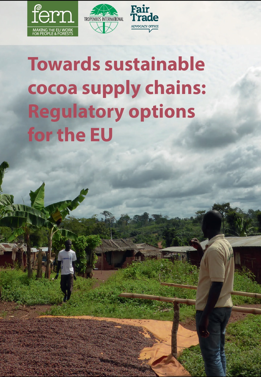 Vers des chaînes d'approvisionnement en cacao durables : options de réglementation pour l'UE