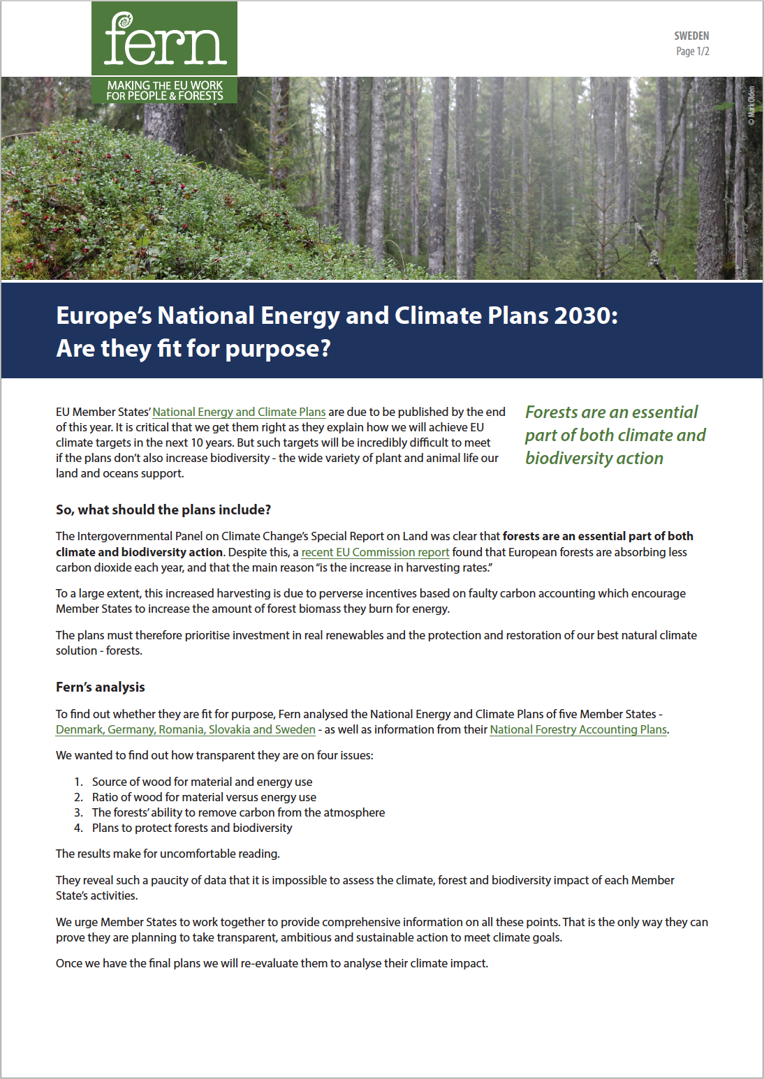 Europe’s National Energy and Climate Plans to 2030: Are they fit for purpose?