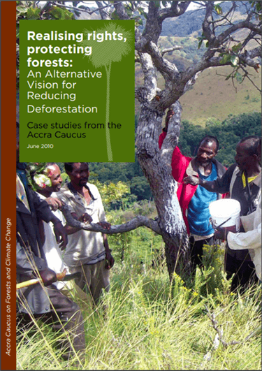 Respecter les droits, protéger les forêts: une vision alternative pour réduire la déforestation