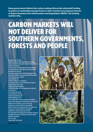 Pourquoi les marchés du carbone ne profiteront pas aux gouvernements, aux forêts et aux populations des pays du sud