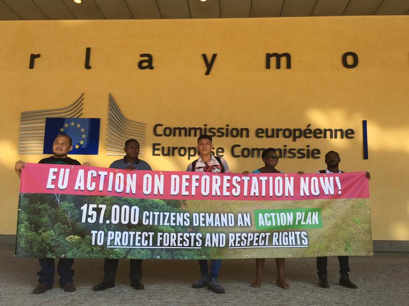 WARUM SIE EIN NEUES EUROPÄISCHES Gesetz um die Entwaldung weltweit zu stoppen UNTERSTÜTZEN KÖNNEN