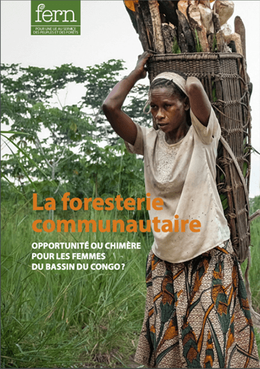 La foresterie communautaire : Opportunité ou chimère pour les femmes du bassin du Congo ?
